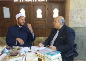 السعيد أحمد المصرى