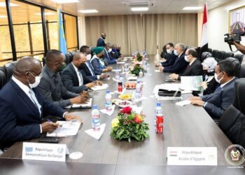 العلاقات المصرية- الإفريقية.. تاريخ من التعاون الإنسانى والبناء الحضارى