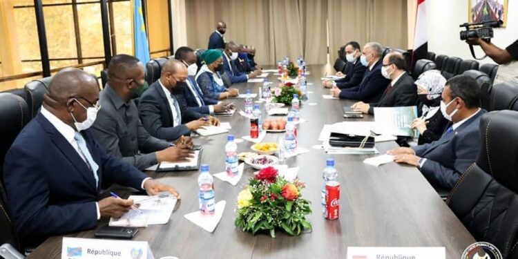 العلاقات المصرية- الإفريقية.. تاريخ من التعاون الإنسانى والبناء الحضارى