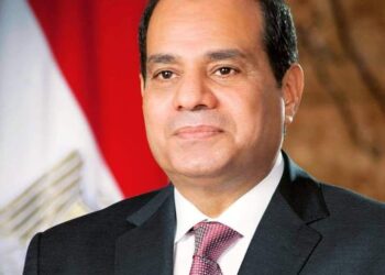 الهيئة الوطنية للصحافة تهنئ الرئيس عبد الفتاح السيسي بالذكرى التاسعة لثورة ” 30 يونيو”