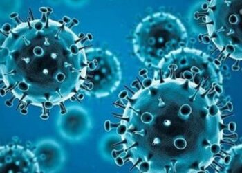 بالأرقام تدعيات كورونا والحروب زادت من معاناة البشر