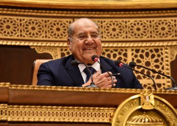 25 يناير تأكيد على استمرار روح العطاء والفداء في صدور المصريين