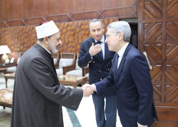 شيخ الأزهر يشيد بموقف البرازيل تجاه الشعب الفلسطيني
