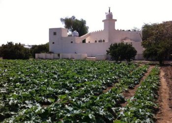 عدَّاس وبِشارة الفرج