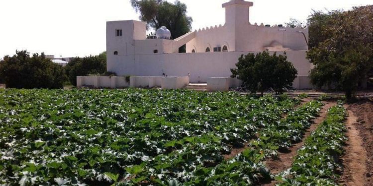 عدَّاس وبِشارة الفرج