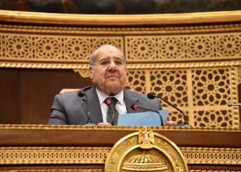 الدولة المصرية تتبنّى نهج العدالة الاجتماعية لتعزيز الأمن الإنسانى