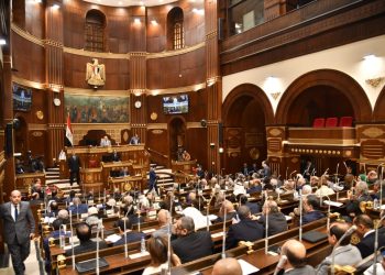 الدولة المصرية تتبنّى نهج العدالة الاجتماعية لتعزيز الأمن الإنسانى