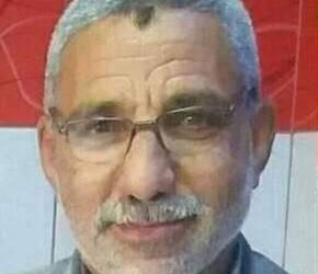 هذا هو الشعراوى