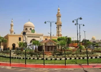 خالد الشناوي يكتب: كريمة الدارين سيدتنا السيدة نفيسة رضي الله عنها