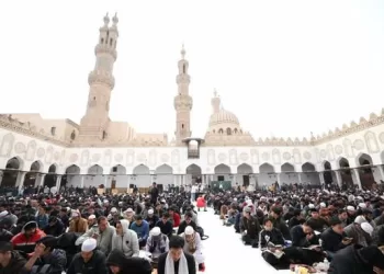 الإمام الأكبر يوجِّه نداء للمسلمين بأن يتّحدوا ويجمعوا كلمتهم