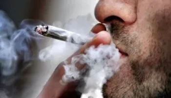 حذَار من “تَرْنِيْد” الفتاوى!.. هل الحشيش حلال؟!