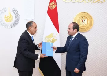 الإنجازات المصرية في السياسة الخارجية من 2014- 2024