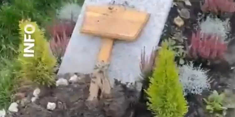 تدنيس مقبرة إسلامية في مدينة إيسن الألمانية