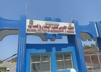 متحف “الأحياء” بالغردقة.. نُزهة ثقافية وزيارة لكنوز البحار