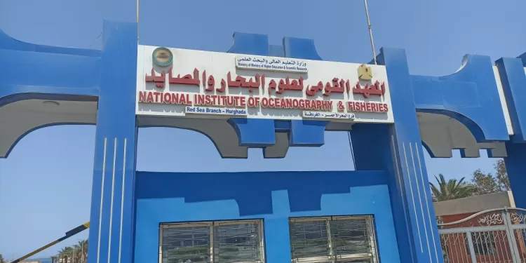 متحف “الأحياء” بالغردقة.. نُزهة ثقافية وزيارة لكنوز البحار