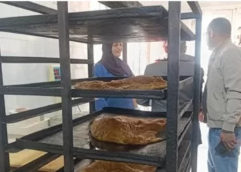 مركز المرأة العاملة بالفيوم.. صناعة الدخل بأيدٍ نسائية