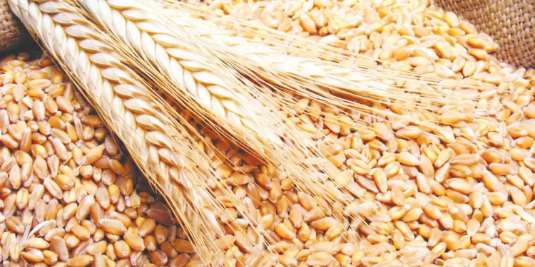 الاحتكار العالمي للغذاء