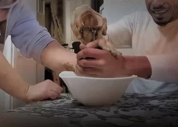 “اختبار الصداقة” بـ”الإيذاء” محرَّم شرعًا ومخالف للشرع