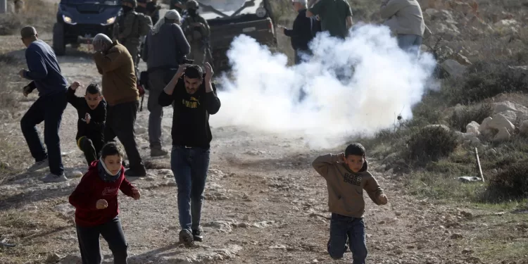 اعترافات إسرائيلية: الأرض ستبقى فلسطينية.. والمستوطنون مجرد “مخرِّبين”