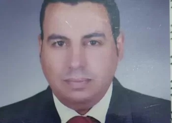 هانى حمدى