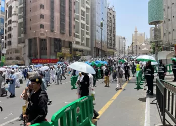 بعثة الحج المصرية في المدينة المنورة
