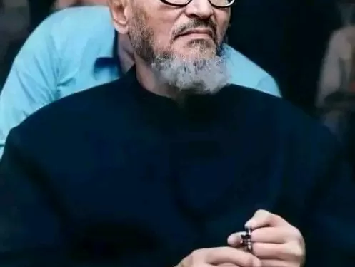 عبدالحليم محمود
