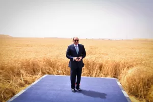 مشروع الدلتا الجديدة