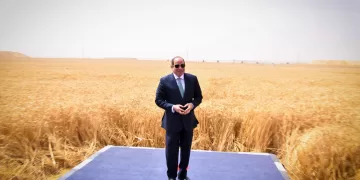 مشروع الدلتا الجديدة