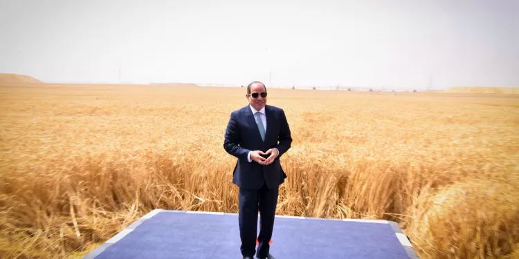 مشروع الدلتا الجديدة