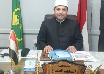 السعيد الصباغ